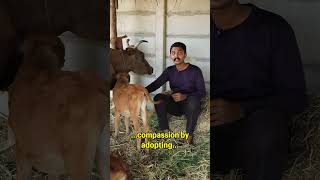 Humanity vs Animality animals rescue animalrescue truth love compassion viral [upl. by Zitella]