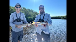 Fishing Weedon Island for Red Fish Snook and Trout [upl. by Tamqrah]