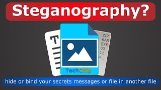 Using Steganography to Hide Data in Digital Image [upl. by Singer]