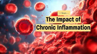 Impact of Chronic Inflammation [upl. by Caniff837]