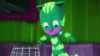 Gekkos StayatHome Sneezes  Full Episodes  PJ Masks  Cartoons for Kids  Animation for Kids [upl. by Oswal]