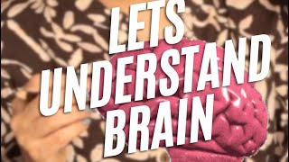 Two sides of child’s brain logic or creativeshorts childbraindevelopment brain parentingtips [upl. by Eisle]