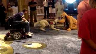 A Service Dog Meets Pluto aboard the Disney Fantasy [upl. by Atsuj687]