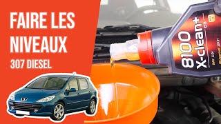 Faire ses niveaux Peugeot 307 20 HDi 📏 [upl. by Zima889]