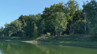 Hiawatha Island bald eagles part 2 [upl. by Asatan]