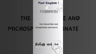 pteridophytes fypシ゚viral study neet neetbiology class11th ncertbiology dontmissmustwatch [upl. by Anuat726]