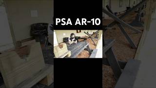 PSA AR10 DMR Gen 3 with Leopold VX Freedom Firedot ar10 psa palmettostatearmory dmr [upl. by Omer]