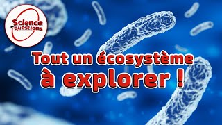 Microbiote  le monde secret de vos intestins  Science En Questions [upl. by Ravahs]