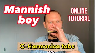 How to play Mannish boy  easy CHarmonica lesson with Backing track and TABS [upl. by Fotzsyzrk]