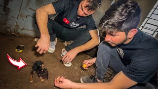 ENCONTRAMOS ESSE BEBEZINHO DENTRO DA IGREJA ABANDONADA SOZINHO [upl. by Warfold]