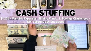 Cash Envelope Stuffing 1205  June Paycheck 2 Part 1  NEW DIY Vellum Cash Envelopes 💌 [upl. by Nehtan]