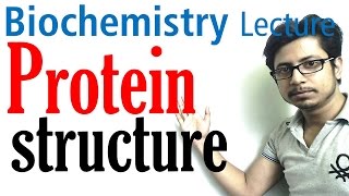 Protein structure  primary secondary tertiary and quaternary structure of protein [upl. by Materi]