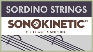 Alex Niedt  Small Wonders Sonokinetic Sordino Strings Official Demo [upl. by Onaivatco]