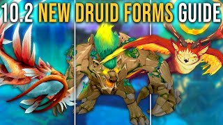 Complete Guide to All New Druid Forms in Patch 102 Guardians of the Dream WoW [upl. by Eyeleen738]