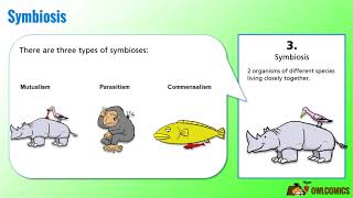 Science Cartoon Symbiosis Predation and Competition [upl. by Giarc5]