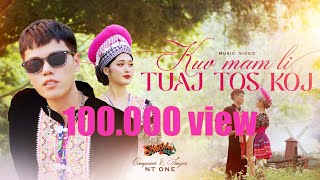 NT One  Kuv Mam Li Tuaj Tos Koj Official MV [upl. by Cristobal]