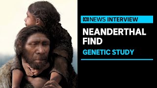 Neanderthal DNA reveals family relationships in cavedwelling clan  ABC News [upl. by Euqinomod]