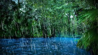 Sleep to Relaxing Raindrops  Water Sounds [upl. by Maxim]