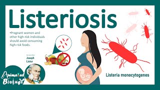 Listeriosis Listeria Monocytogenes  Sources Pathophysiology Symptoms Diagnosis Treatment [upl. by Labinnah]