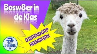 Bosw8er in de Klas bij kinderboerderij Dierendorp Heemskerk afl 39 4k [upl. by Adnauqaj]