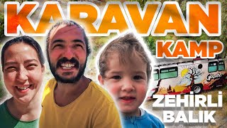 KARAVAN KAMPINDA EN ZEHİRLİ BALIKLARDAN BİRİNİ YEDİK ASLAN BALIĞI [upl. by Adiaroz]