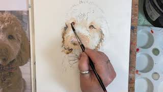 Time Lapse Watercolour Painting of Eddie the Cockapoo [upl. by Pizor]