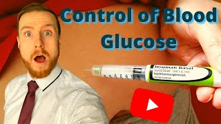 HOMEOSTASIS Control of Blood Glucose AQA ALevel Biology [upl. by Akimal824]