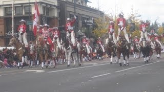 Equestrian Units at the Rose Parade 2013 [upl. by Reagen]