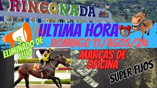 MARCAS HÍPICAS ULTIMA HORA LA RINCONADA 11Agos24🐴 ⏱️  2 Grandes ELIMINADOS 💵💵💵 [upl. by Eloken342]