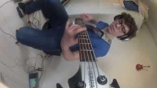 Periphery  Make total destroy Bass cover by Werner Erkelens [upl. by Lira]