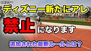 【厳罰化】バレたら強制退園禁止事項に〇〇追加！絶対に知っておきたいディズニー最新ルール！ [upl. by Nereids]