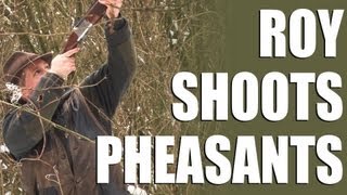 Driven pheasants  Roy goes on a shoot day in Hampshire [upl. by Asor556]