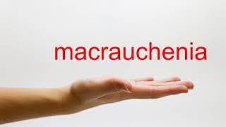 How to Pronounce macrauchenia  American English [upl. by Negah]