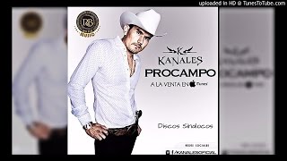 Benito  Kanales Corridos Nuevos 2015 [upl. by Sension]