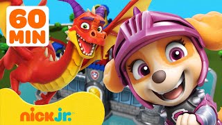 PAW Patrol Dragon Adventures amp Rescues 🐉 1 Hour  Nick Jr [upl. by Dorrej]