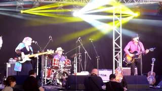 The Spikedrivers  Ealing Blues Festival 2015 [upl. by Ardnuat]