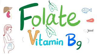 Vitamin B9 Folate 🥬  Folic  Structure Function Folate Deficiency Anemia Diagnosis amp Treatment [upl. by Portland512]