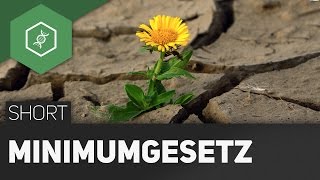 Minimumgesetz  Wie wachsen Pflanzen am Besten [upl. by Eibloc]