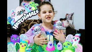 HATCHING HATCHIMALS COLLEGGTIBLES SURPRISE EGGS  SEASON 2  WHO WILL YOU HATCH [upl. by Necila989]