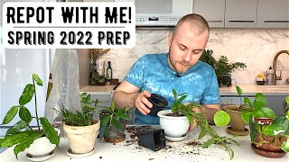 Repot With Me Repotting Houseplants For Spring 2022 [upl. by Alyaj]