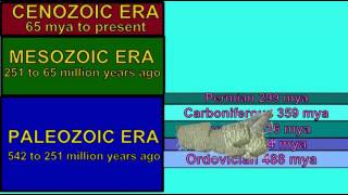 TABULATE amp RUGOSE CORALS DISTRIBUTION IN GEOLOGIC TIME [upl. by Spatz593]