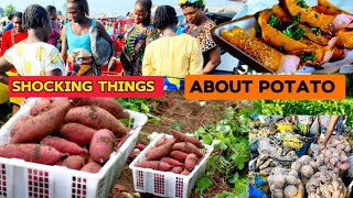 Market Women Exposed the shocking truth About Planting Sweet Potatoes [upl. by Enohpesrep]