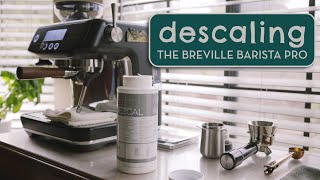 How to Descale the Breville Barista Pro plus Flush Cycle or quotBackflushingquot [upl. by Aken]