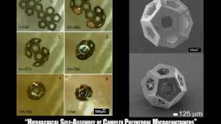 SelfAssembly of Lithographically Patterned 3D MicroNanostructures [upl. by Eiltan353]