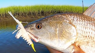 3 Tips To Catch Shallow Water Redfish [upl. by Drolyag65]