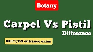 Difference between carpel and Pistil  Botany  Easy Explanation [upl. by Odille931]