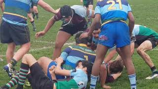 Harlequins U18 v Brimbank 030819 2H [upl. by Olnton451]