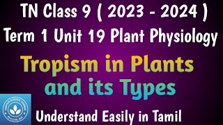 Tropism in Plants Class 9 Science Term 1 Unit 19 Plant Physiology [upl. by Silyhp]