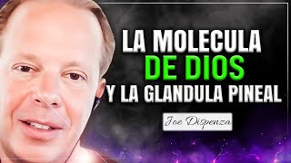 Cómo encontrar la molécula de Dios por el Dr Joe Dispenza [upl. by Jaine413]