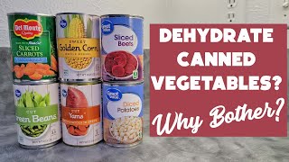 Dehydrate Canned Vegetables and Make Vegetable Powder  Dehydrating Magent [upl. by Modestia383]